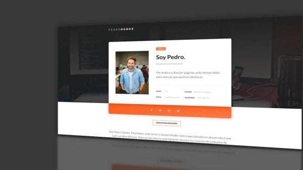 Página de Captación de Leads Servicios Profesionales Freelance Opt-in Lead Capture Landing Page - Individual